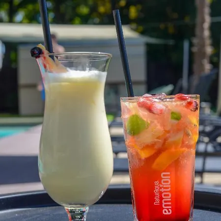 Holiday Resorts ホテル バラトンサールソー