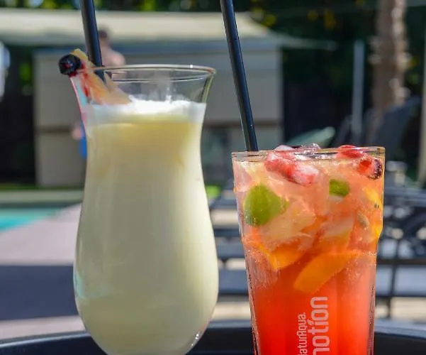 Holiday Resorts ホテル バラトンサールソー